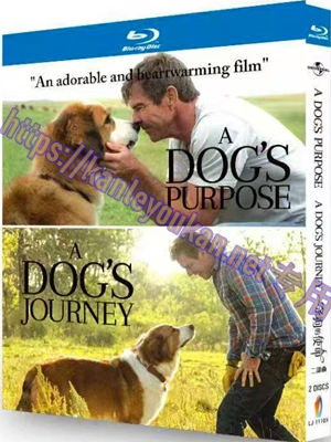 简LJ-1110A 一条狗的使命（二部曲）（2碟）【BD】