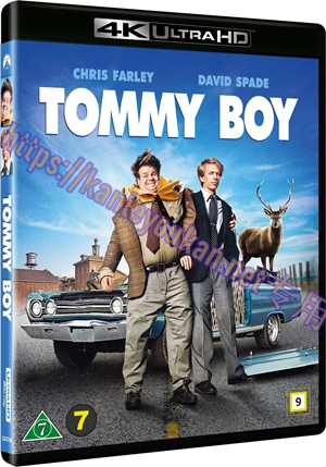 精CJ-4K-UHD 32262 乌龙兄弟/老板有麻烦/天才推销员(4K UHD版)