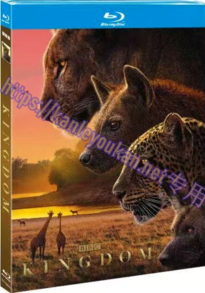 简SJ-13099A 动物王国（2BD）【BD】