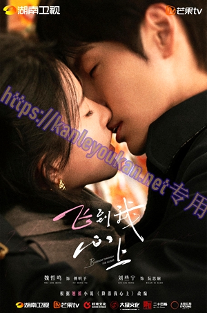简LG-G6761 飞到我心上【TV全集+幕后花絮】（3BD）（有精装）