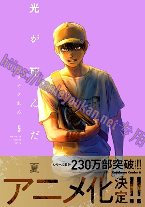 简LG-K5551 光逝去的夏天（2BD）（有精装）