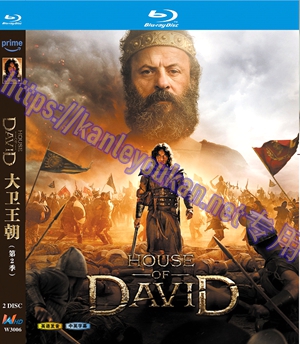 简W3006 大卫王朝 第2季 2碟