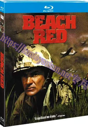 简4GBD25（1278） 抢滩总攻击