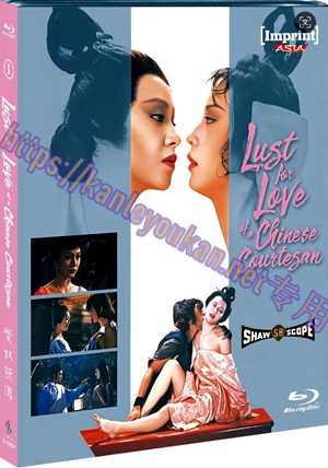 简SJ-12912A 爱奴新传【BD】