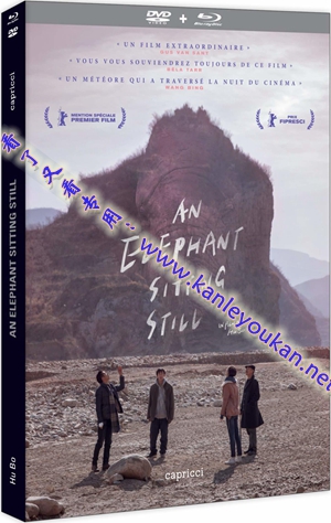 简LJ-1357A 大象席地而坐【BD】