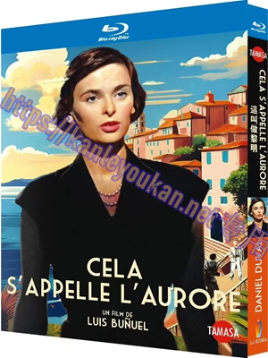 简LJ-8206A 这叫做黎明【BD】