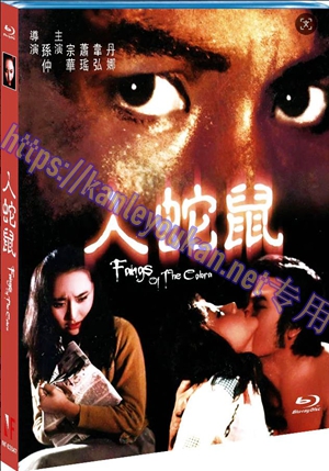 简NF-02847 人蛇鼠