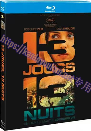 简4GBD25（1238） 13个日夜