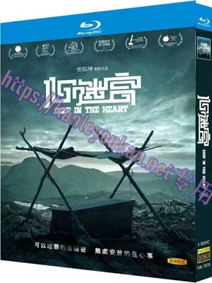 简TW-7976 心迷宫
