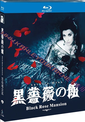 简SJ-12607A 黑玫瑰公寓【BD】