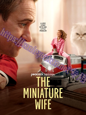 简LG-M6313 迷你妻子 第1季（2BD）（有精装）