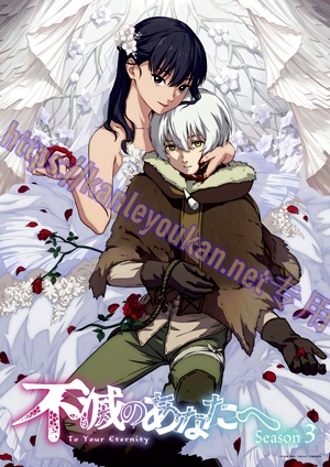 简LG-K5830 致不灭的你 第3季（2BD）（有精装）