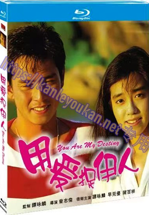 简TM-R0422G 用爱捉伊人（高清修复版）