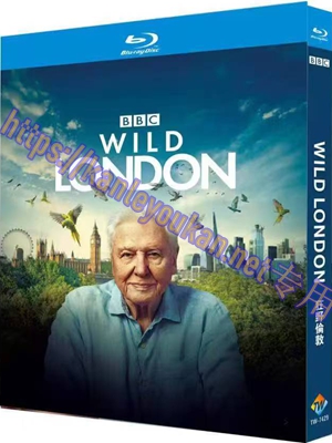 简TW-7429 狂野伦敦