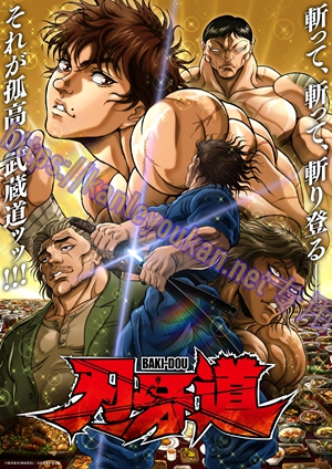 简LG-K6480 刃牙道：无敌武士 第2季（2BD）（有精装）