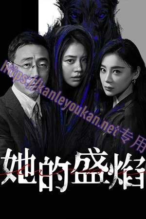 简LG-G6202 她的盛焰【TV全集+幕后花絮】（3BD）（有精装）