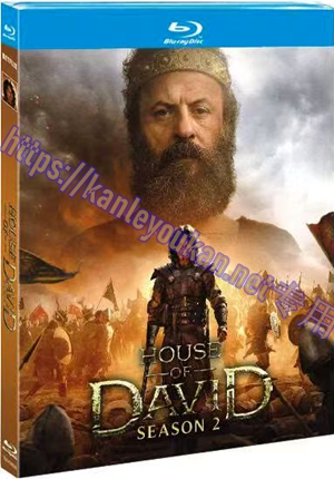 简TM-R4666 大卫王朝 第二季 (2碟)