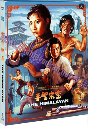 简SJ-13496A 密宗圣手（2K修复版）【BD】