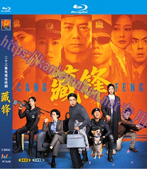 简W7630 藏锋 (段奕宏2026) 2碟