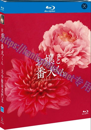 简SJ-17245 大小姐和看门犬【BD】