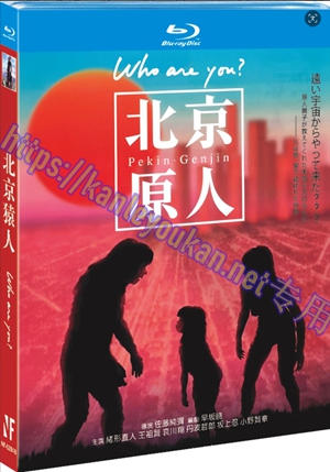 简NF-02848 北京猿人