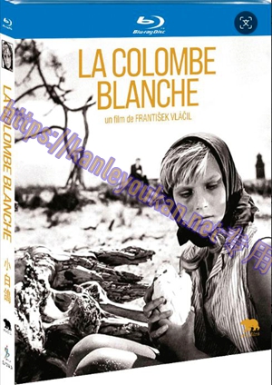 简SJ-13141A 小白鸽【BD】