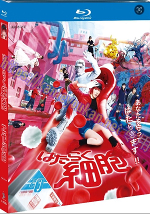 简SJ-12788A 工作细胞【BD】