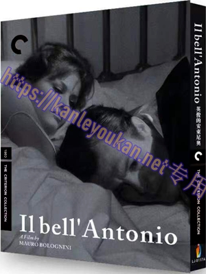 简LJ-8117A 英俊的安东尼奥【BD】