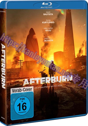 简SJ-17247 余烬夺宝【BD】