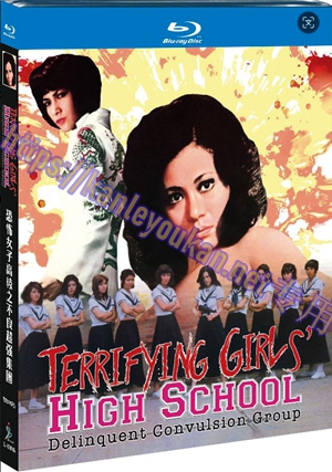 简SJ-12804A 恐怖女子高校之不良超强集团【BD】