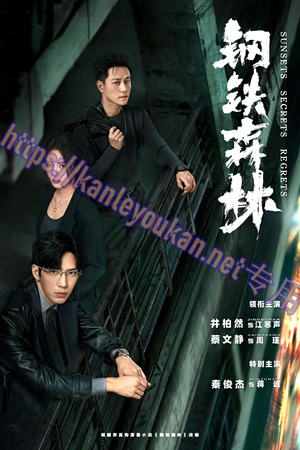 简LG-G6303 钢铁森林【TV全集+幕后花絮】（3BD）（有精装）