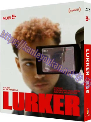 简LJ-8167A 潜伏者/狂粉心计【BD】