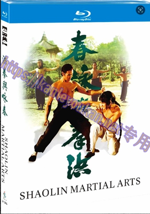 简SJ-12849A 洪拳与咏春【BD】