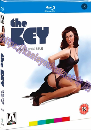 简SJ-4195B 欲望之翼/键（4K修复版）（第二版）【BD】