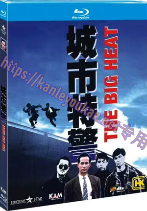 简4GBD25（1263） 城市特警