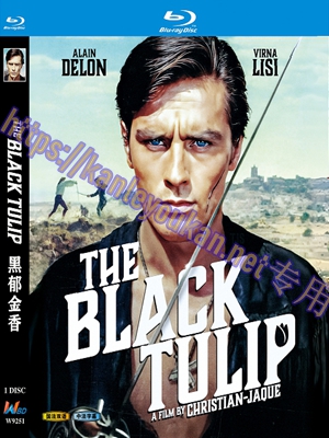 简W9251 黑郁金香(法国经典古装冒险动作喜剧)