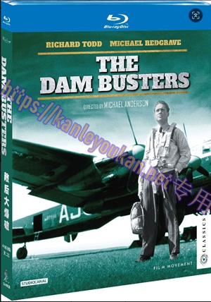 简SJ-4006B 敌后大爆破（4K修复版）（第二版）【BD】