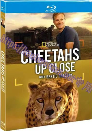 简TM-R4442 摄影师贝尔蒂与猎豹零距离