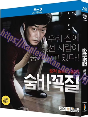 简LJ-8234A 捉迷藏【BD】