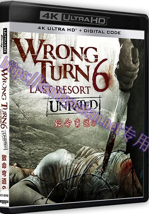 精SS-4K1690 致命弯道6：终极审判（4K UHD版）