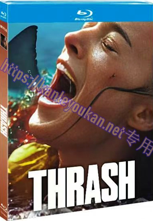 简TM-R4634 狂鲨风暴