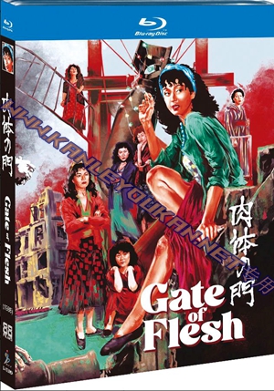 简SJ-12598A 肉体之门【BD】
