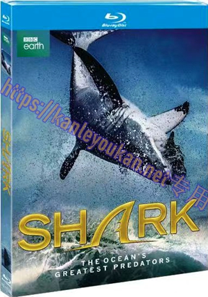 简4GBD25（1138） 鲨鱼