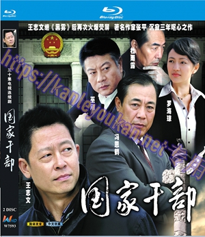 简W7593 国家干部【王志文/杜雨露】 2碟