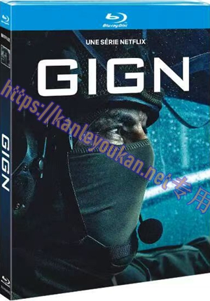 简TM-R0406G G.I.G.N：精英部队（2碟）
