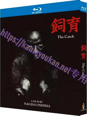 简LJ-8591A 饲育【BD】