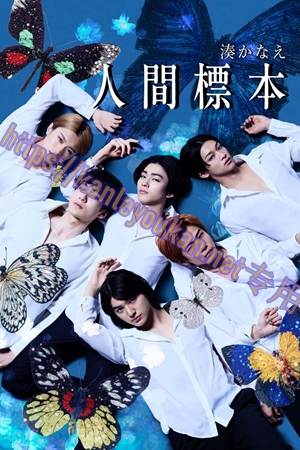 简LG-R5809 人类标本（2BD）（有精装）