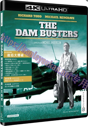 精SJ-42449A 敌后大爆破（4K UHD修复版）