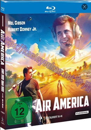 简SJ-12991A 飞离航道/轰天神鹰（4K修复版）【BD】