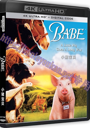 精SS-4K1746 小猪宝贝1（4K UHD版）